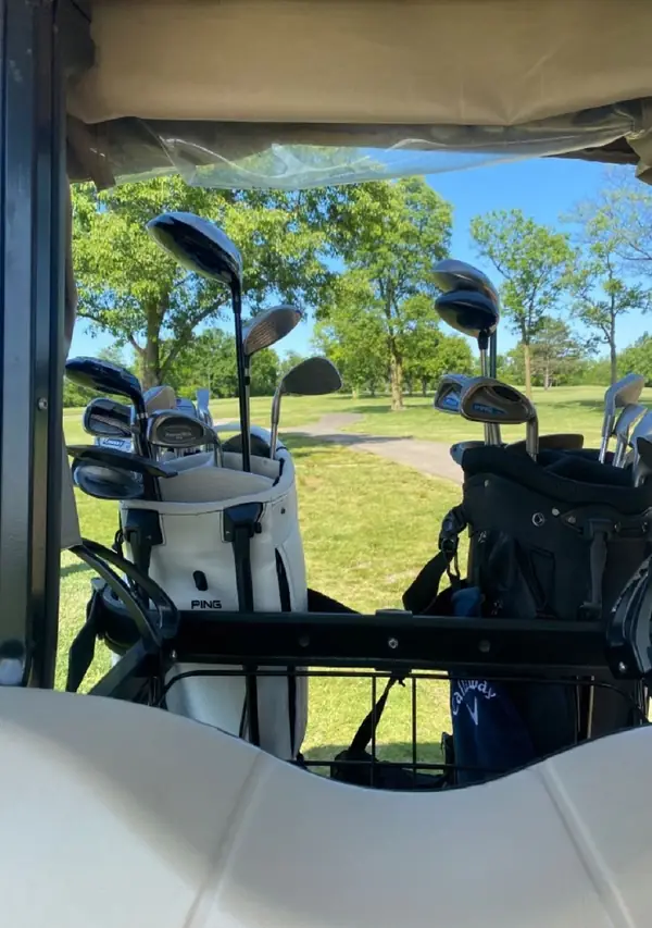 Bolsas de golf en un carrito, en el campo