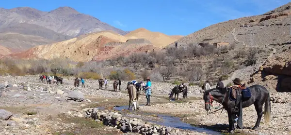 Actividades en Ouarzazate, Ouarzazate