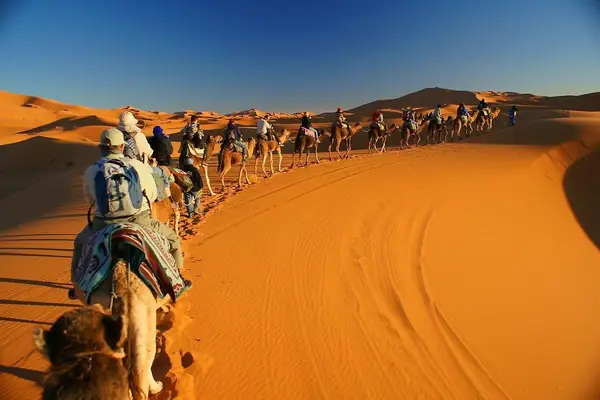Caravana de dromedarios en las dunas del Erg Chebbi