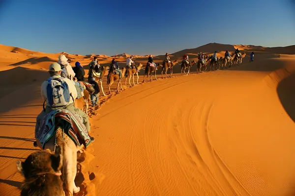 Caravana de dromedarios en las dunas del Erg Chebbi