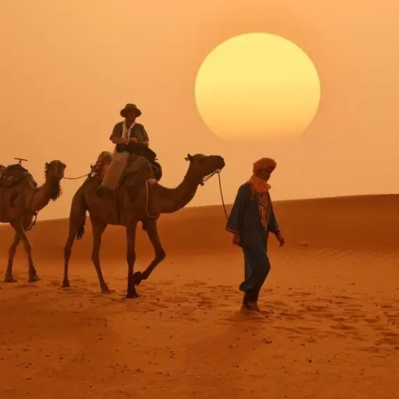 Caravana de dromedarios al atardecer en el desierto