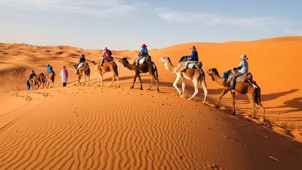 Caravana de dromedarios en las dunas anaranjadas